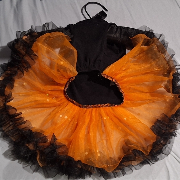 Pawpatu - Picture 4 of 5